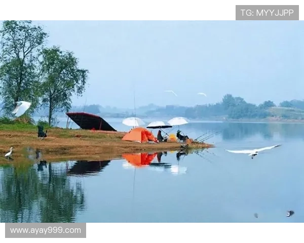 垂钓直播：静坐水岸，竿起鱼跃入画来